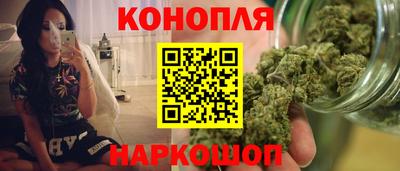 мяу мяу мука Ачхой-Мартан