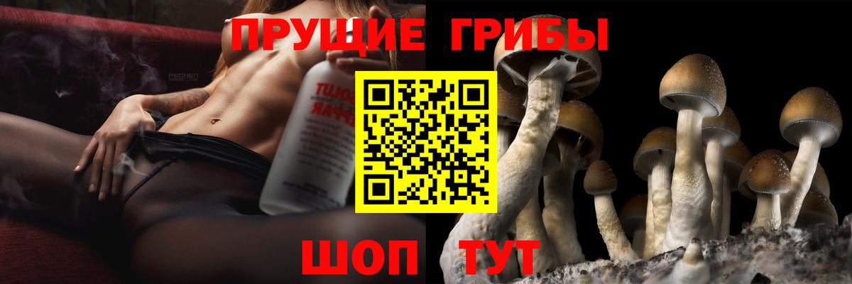 Псилоцибиновые грибы мицелий  Вход с VPN  Ахтубинск  Галлюциногенные грибы прущие грибы 